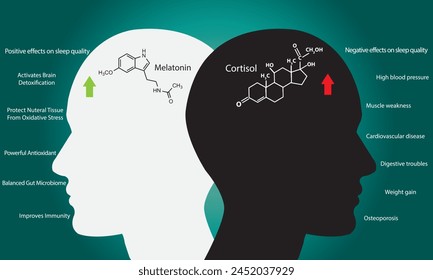 Impact of melatonin and cortisol on circadian rhythm, sleep cycle, body activities, and brain.	