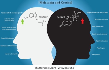 Impact of melatonin and cortisol on circadian rhythm, sleep cycle, body activities, and brain.	