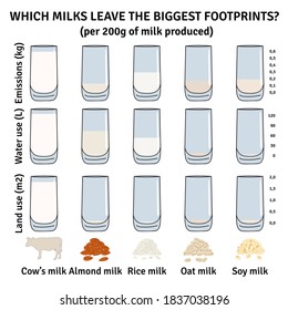 The impact of milk types on the environment. Milk infographic. Dairy, almond, soy, rice, oat milk. Water use, greenhouse emission. Footprints from milk. Hand drawn vector illustration.