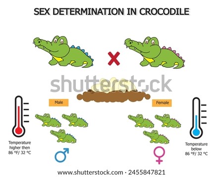 Impact of rising temperatures due to global warming on sex determination in crocodiles.