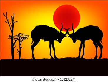 Impala Africa in sunset. Vector
