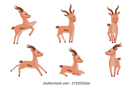 Impala Animal with Horns in Different Poses Vector Set