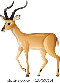 Impala animal on white background illustration