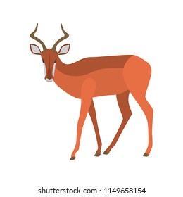 Impala color vector icon. Flat design