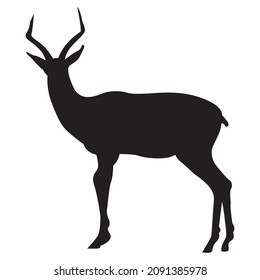 Impala element object on white background impala wild animal vector illustration.