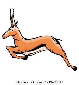 impala Jumping Antelope Gazelle Animal Vector