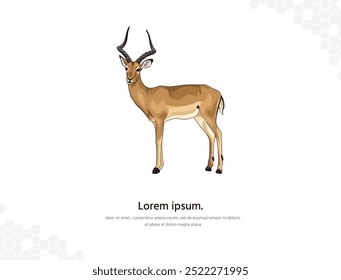 Arte vectorial Impala para decoración de paredes. Imágenes animales realistas. Animal salvaje dibujado a mano aislado. para la decoración de la habitación, eventos, etc