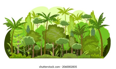 Selva gruesa e intransitable. Imagen de fondo. Selva tropical. Hermoso paisaje verde con árboles exóticos y palmeras. Estilo de dibujos animados. Aislado sobre fondo blanco. Vector