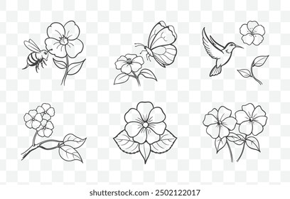 Impatiens Flower Line Art Vector Set Ilustraciones botánicas de la planta de Impatiens con Diseños florales y de hojas detallados