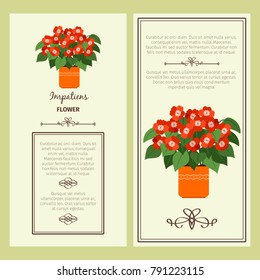 Impatiens flower in pot vector advertising banners for shop design