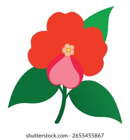 impatiens flower vector on white background