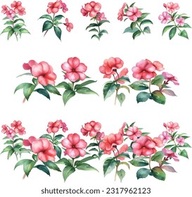 Impatiens walleriana.Watercolor set of pink flowers and leaves isolated on white background. Vector illustration.