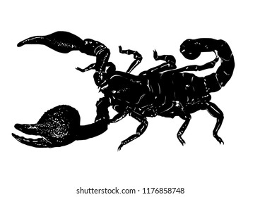 Imperial Black Scorpion Stock Vector (royalty Free) 1176858748 