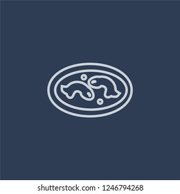 Imperial Carp icon. Imperial Carp linear design concept from Chinese Food collection. Simple element vector illustration on dark blue background.