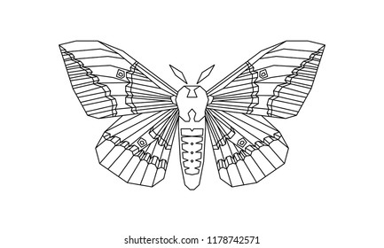 Imperial Moth (Eacles imperialis) vector illustration isolated on a white background