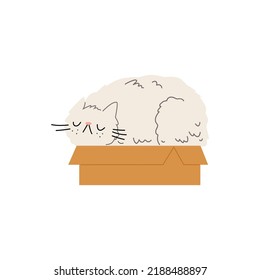 Imperturbable cat sleeping in cardboard box flat style, vector illustration isolated on white background. Cat behavior concept, fluffy cute pet character