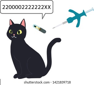 Implant Microchip To A Cat