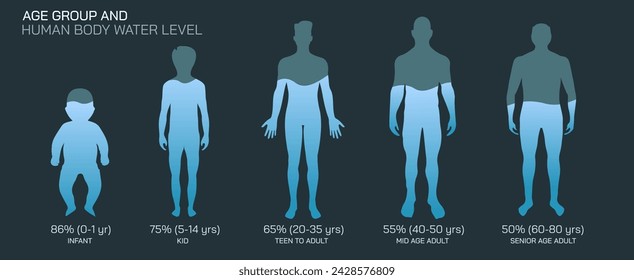 La importancia de la hidratación. El nivel de agua promedio e ideal en su ilustración vectorial del cuerpo. Una buena cantidad de nivel de agua mantiene el cuerpo funcionando correctamente. Porcentaje y proporción de agua corporal.