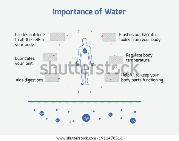 Importance Water Infographic Water Health Importance Stock Vector ...