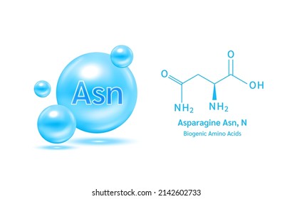 Asn de aminoácidos importantes, N y fórmula química estructural y modelo de línea de molécula. Azul paragino sobre un fondo blanco. Ilustración de vectores 3D. Conceptos médicos y científicos.