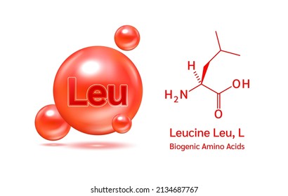 Important amino acid Leucine Leu, L and structural chemical formula and line model of molecule. Leucine red isolated on a white background. 3D Vector Illustration. Medical and scientific concepts.