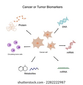 Los biomarcadores importantes del cáncer o de las células tumorales para el diagnóstico médico o la investigación científica: Proteína, ADN, ARNm, ARNmi, metabolitos biológicos y células tumorales circulantes.