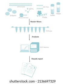 Wichtiger Bestandteil und Stufen der Polymerase-Kettenreaktion (PCR): PCR in Echtzeit, quantitative PCR für den DNA-Nachweis in molekularen Forschungs- oder Diagnoselabors.