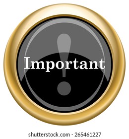 Important icon. Internet button on white  background. EPS10 Vector. 