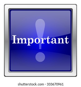 Important icon. Internet button on white background. EPS10 vector.
