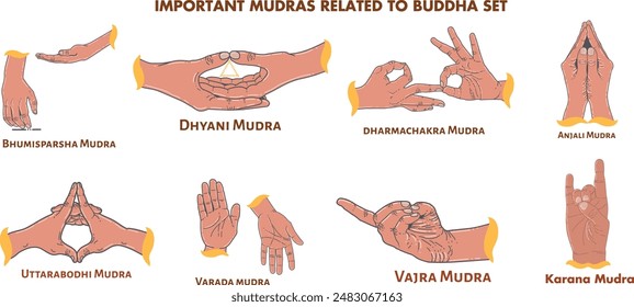 important mudra related to Buddha,yoga mudra set,vector isolated set.