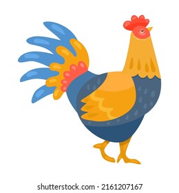 Important multicolored rooster. Different farm birds cartoon illustration isolated on white background. Domestic animal