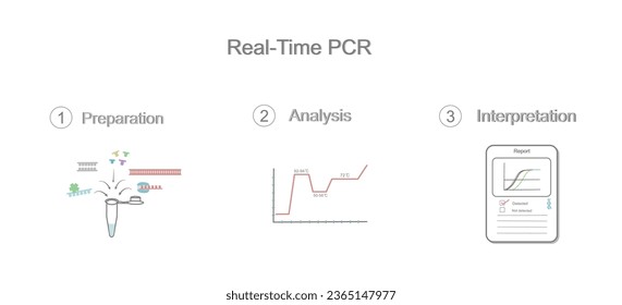Los pasos importantes de la Reacción en Cadena de la Polimerasa (PCR) en tiempo real que representa la preparación de mezclas maestras, el Análisis (máquinas qPCR) y la Interpretación (curva de amplificación).