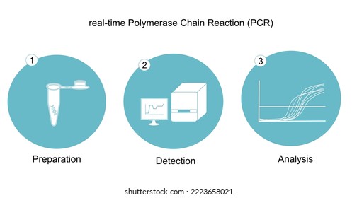 Der wichtige Workflow (Vorbereitung, Nachweis und Analyse) der Echtzeit-Polymerase-Kettenreaktion (PCR) für den DNA-Nachweis, der im Icon-Konzept von Blau und Weiß steht