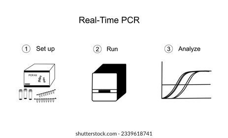 Der wichtige Workflow der Real-Time PCR oder der quantitativen Polymerase-Kettenreaktionstechnik, einschließlich Einrichten, Ausführen der Reaktion mit Maschine und Ergebnis-Analyse.