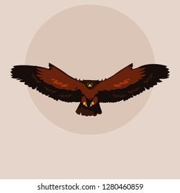 imposing hawk bird flying