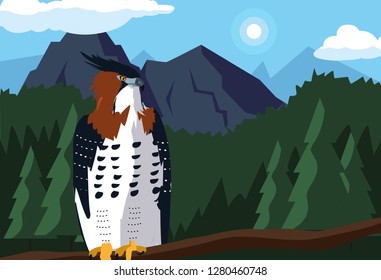 imposing hawk in the branch with landscape