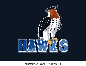imposing hawks bird with word