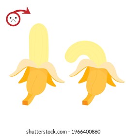 impotence. lethargic fruits. bad erection. stock vector illustration isolated on white background.