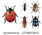 ImpressionNaturalistic insects board, seen from above. With beneficial or harmful insects such as ladybugs, cockroaches, Colorado potato beetles, ant or beetles.