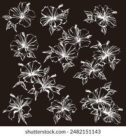 Impressive and beautiful hibiscus illustration collection,