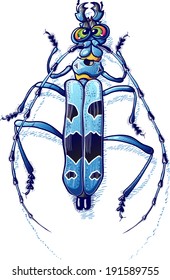 Impressive beetle with green eyes in angry mood, viewed from top while it crawls and shows its spotted blue body, its six legs and its two long antennae