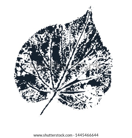 Imprint forest leafs. Vector illustration. Isolated objects on white background.