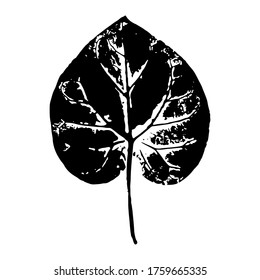Imprint of a leaf of a tree. Isolated botanical element. Suitable for design; pattern; postcard; print. Vector illustration.