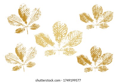 The imprint of the leaves. Autumn foliage, vector colored illustration. Isolated objects on white background. Vector illustration.