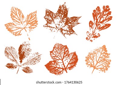 The imprint of the leaves. Colored silhouettes of leaves. Overlay template. Vector illustration.