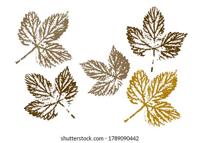 The imprint of the leaves. Colored silhouettes of leaves. Set with stamp leaves. Vector illustration.