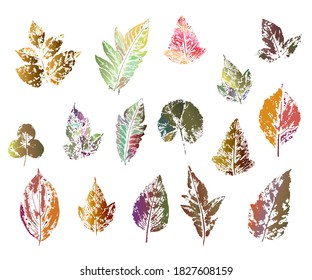  imprint of the leaves. Colored silhouettes of leaves. Vector illustration. Isolated objects on white background. 