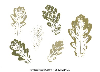 The imprint of the leaves. Natural ink imprint of autumn leaf with streaks and texture. Set with stamp leaves. Vector illustration.