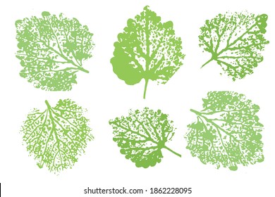 The imprint of the leaves.  Objects isolated on white. Set with stamp leaves. Vector illustration.