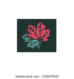 imprint maple leaf, vector graphic